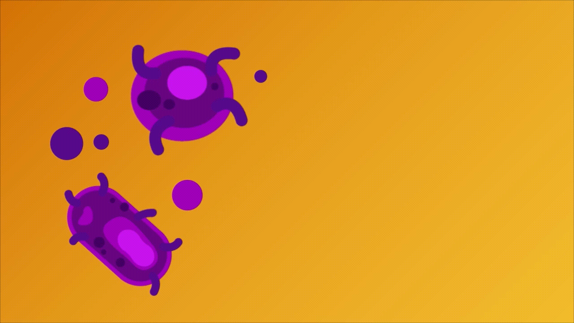 Animación